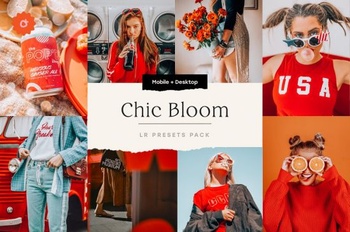 DesignOptimal CreativeMarket Chic Bloom 4 Lightroom Presets Set 5347851