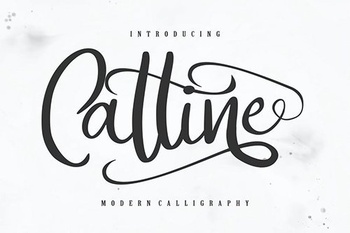 DesignOptimal Catline Modern Calligraphy Script