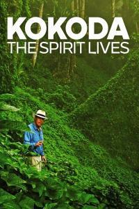 Kokoda The Spirit Lives 1080p AV1 AAC MVGroup Forum mkv