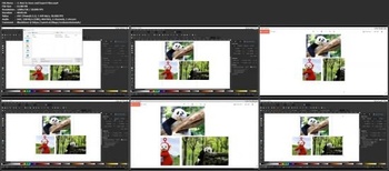 Udemy Graphic Designing for People with Autism Dyslexia etc