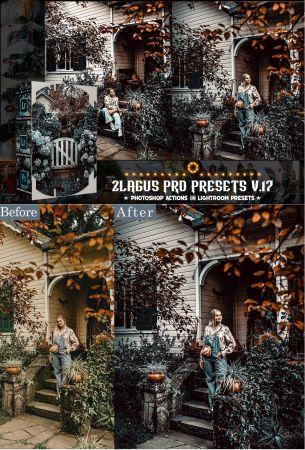 DesignOptimal PRO Presets V 17 Photoshop Lightroom