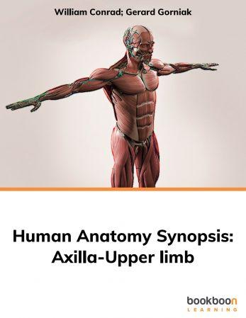 Human Anatomy Synopsis Axilla Upper limb DevCourseWeb