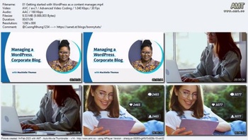 Linkedin Managing a WordPress Corporate Blog