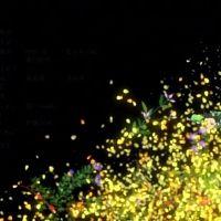 Kusuriya no Hitorigoto 01 480p Multiple Subtitle 1772A202 Erai raws TGx