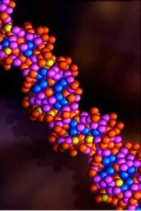 BBC R4 Production Wally K Daly s 625Y