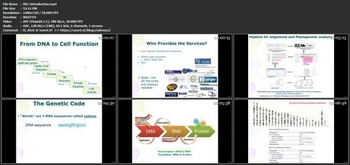 Udemy Sequence analysis Learn the use of BLAST