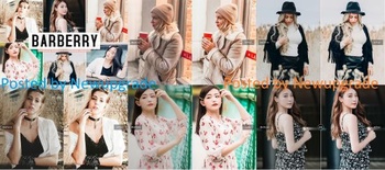 DesignOptimal Barberry Mobile Desktop Lightroom Presets