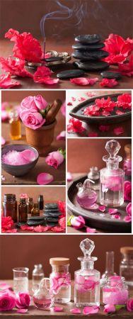 DesignOptimal Aromatherapy azalea flowers spa stones stock photos