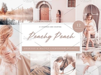 DesignOptimal CreativeMarket 12 x Lightroom Presets Peach 5962682