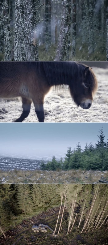 Inside the Forest Seasons of Wonder S01E04 WEBRip x264 XEN0N