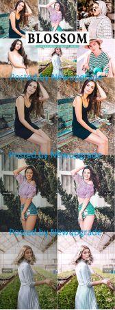 DesignOptimal Blossom Mobile Desktop Lightroom Presets