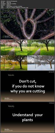 Udemy Pruning Trees and Shrubs Everything You Need to Know CourseWikia