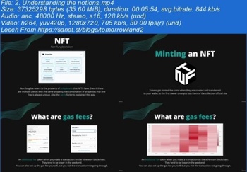 Udemy Generate daily profit using NFTs