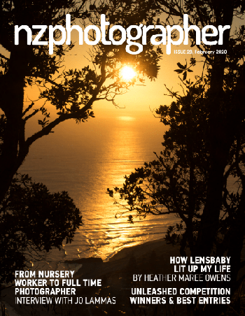 FreeCourseWeb NZPhotographer February 2020
