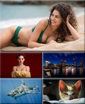 DesignOptimal Computer Desktop Wallpapers Collection Part 2516