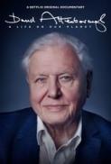 David Attenborough A Life on Our Planet 2020 720p NF WEBRip 800MB x264 GalaxyRG