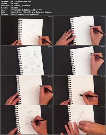 FreeCourseWeb Let s Draw Birds with Personality