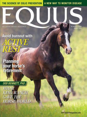 FreeCourseWeb Equus Summer 2020