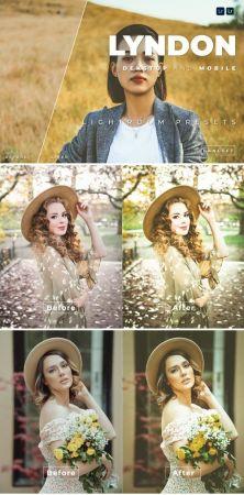 DesignOptimal Lyndon Desktop and Mobile Lightroom Preset