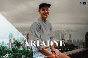DesignOptimal Ariadne Mobile and Desktop Lightroom Presets