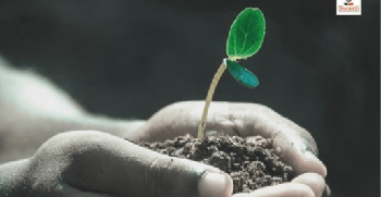 FreeCourseWeb Udemy 18 keys to balanced life