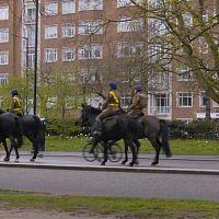 Coronation Tailors Fit for a King 2023 1080p HDTV H264 DARKFLiX TGx