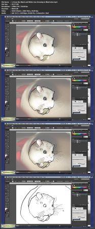 Udemy Adobe Illustrator Create a Quick Easy Unique Illustration