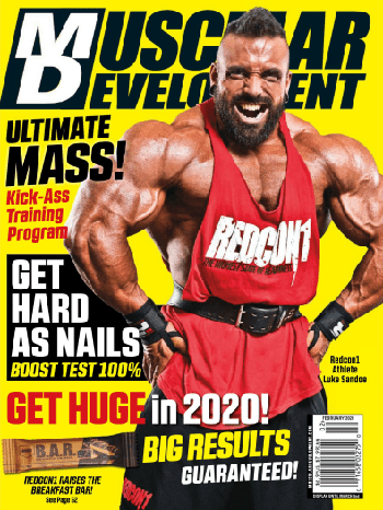 FreeCourseWeb Muscular Development February 2020