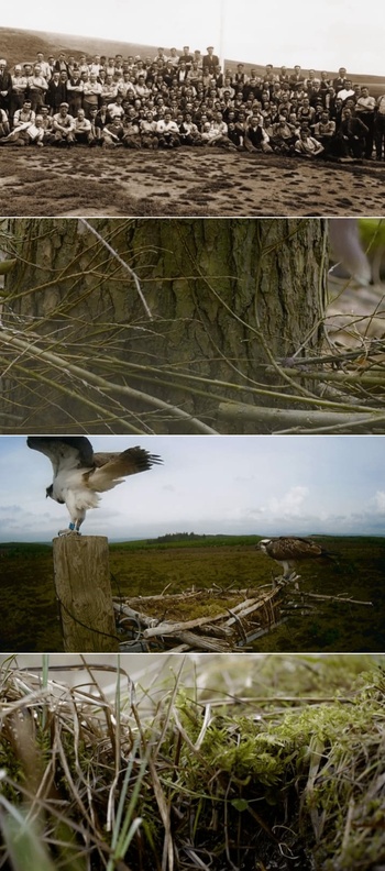 Inside the Forest Seasons of Wonder S01E01 WEBRip x264 XEN0N