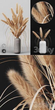 DesignOptimal 3DSky A bunch of Pampas 2