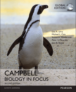 DevCourseWeb Campbell Biology in Focus Global Edition