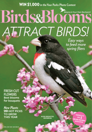 FreeCourseWeb Birds Blooms April May 2020