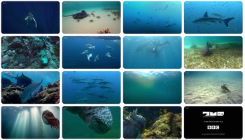 Spy in the Ocean S01E03 Deep Relationships 1280x720p HD 50fps soft Eng subs