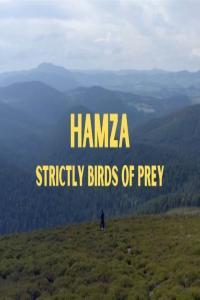 BBC Hamza Strictly Birds of Prey 1080p HDTV x265 AAC MVGroup org mkv