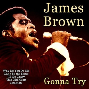 James Brown Gonna Try 2020 FLAC