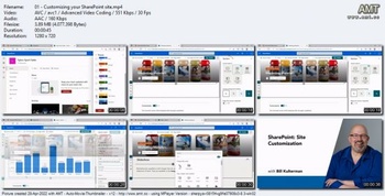Linkedin SharePoint Site Customization 2022