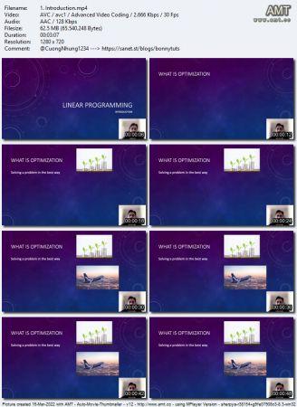 Udemy Linear Programming basics