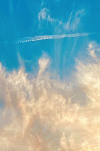 30 Seconds To Mars It s The End Of The World But It s A Beautiful Day 2023 Alternativa Flac