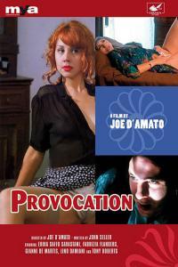 Provocation 1996 Erotic DVDRip worldmkv
