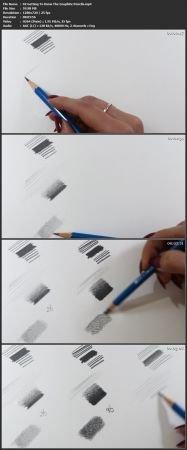 Skillshare Beginners Guide To Portrait Drawing CourseWikia