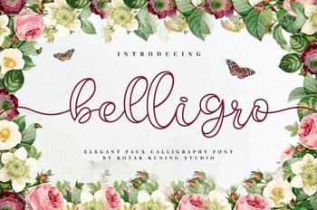 DesignOptimal Belligro Outline Script Font