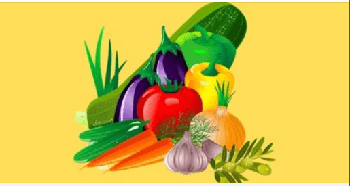 FreeCourseWeb Udemy Raw Food Diet for Health and Longevity