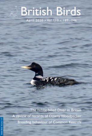 FreeCourseWeb British Birds April 2020