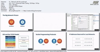 Network Programming in C DevCourseWeb