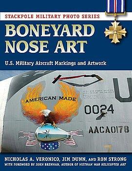 Boneyard Nose Art U S Military Aircraft Markings and Artwork