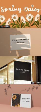 DesignOptimal Spring Daisy Font