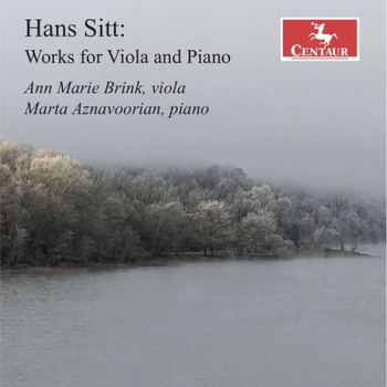 Ann Marie Brink Sitt Works for Viola Piano 2023 24Bit 44 1kHz FLAC PMEDIA