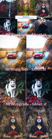 DesignOptimal Magic Lightroom Presets 4264332