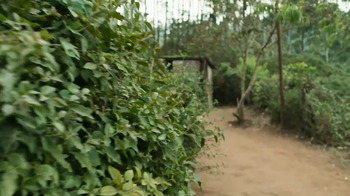 Suzhal The Vortex Season 1 Episode 3 The Procession H265 1080p WEBRip EzzRips