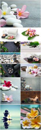 DesignOptimal Spa backgrounds compositions beautiful stock photo